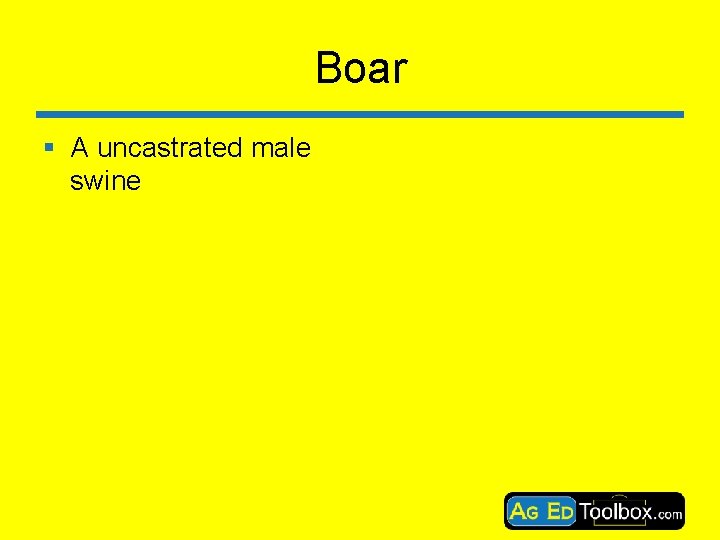 Boar § A uncastrated male swine 