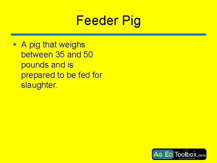 Feeder Pig § A pig that weighs between 35 and 50 pounds and is