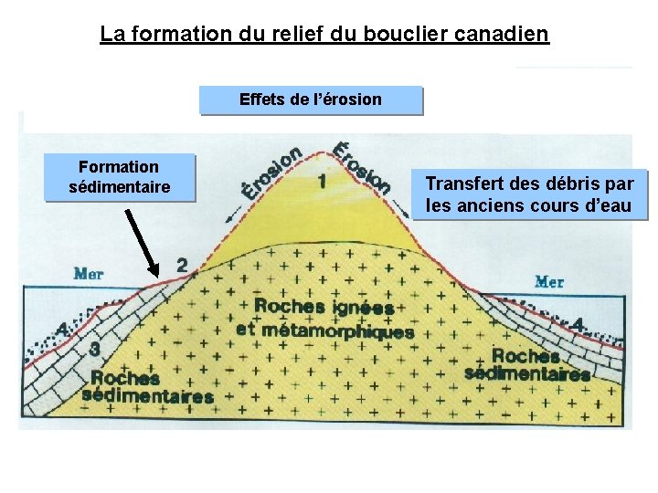 La formation du relief du bouclier canadien Effets de l’érosion Formation sédimentaire Transfert des La formation du relief du bouclier canadien Effets de l’érosion Formation sédimentaire Transfert des