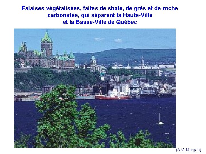 Falaises végétalisées, faites de shale, de grès et de roche carbonatée, qui séparent Falaises végétalisées, faites de shale, de grès et de roche carbonatée, qui séparent