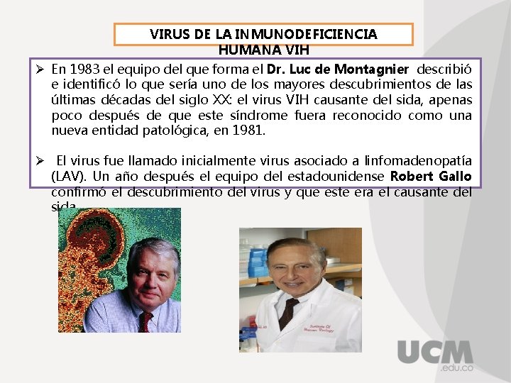 VIRUS DE LA INMUNODEFICIENCIA HUMANA VIH Ø En 1983 el equipo del que forma