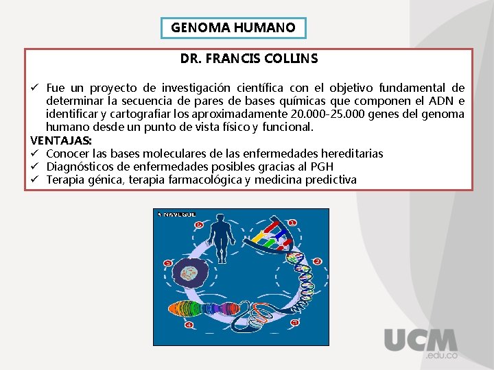 GENOMA HUMANO DR. FRANCIS COLLINS ü Fue un proyecto de investigación científica con el