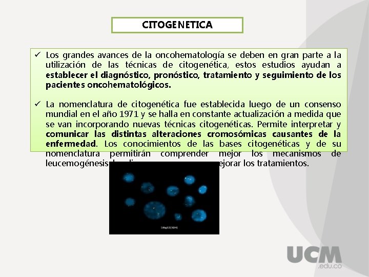 CITOGENETICA ü Los grandes avances de la oncohematología se deben en gran parte a