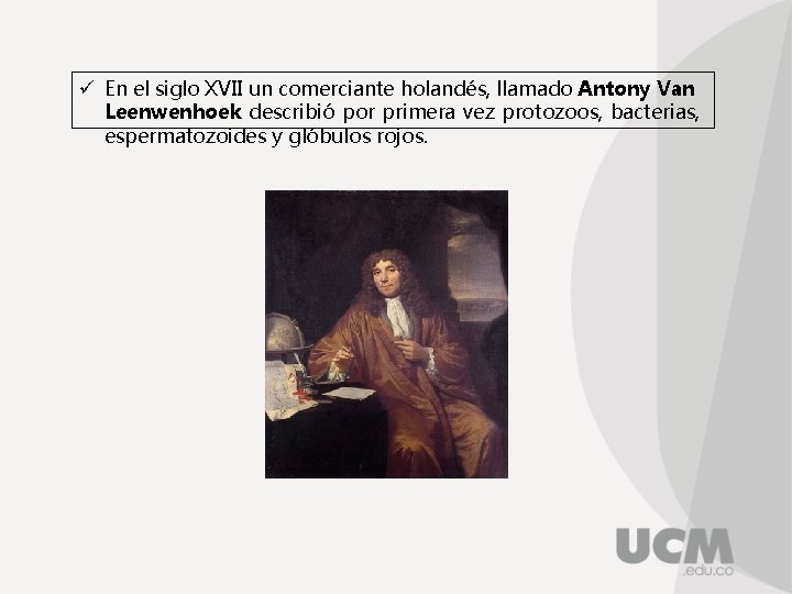 ü En el siglo XVII un comerciante holandés, llamado Antony Van Leenwenhoek describió por