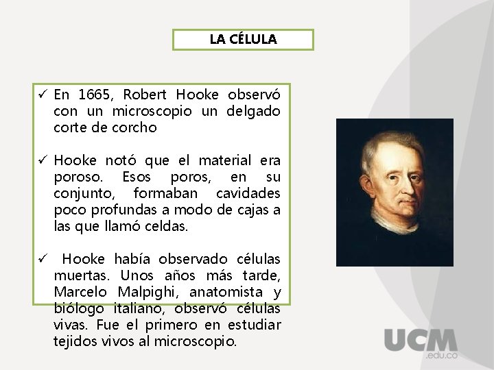 LA CÉLULA ü En 1665, Robert Hooke observó con un microscopio un delgado corte