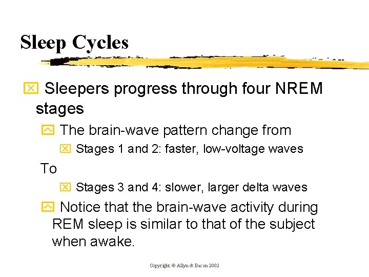 Sleep Cycles x Sleepers progress through four NREM stages y The brain-wave pattern change