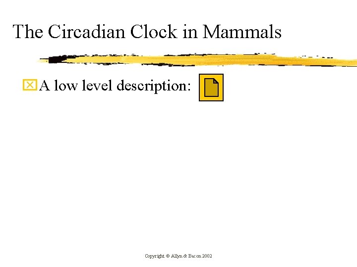 The Circadian Clock in Mammals x. A low level description: Copyright © Allyn &