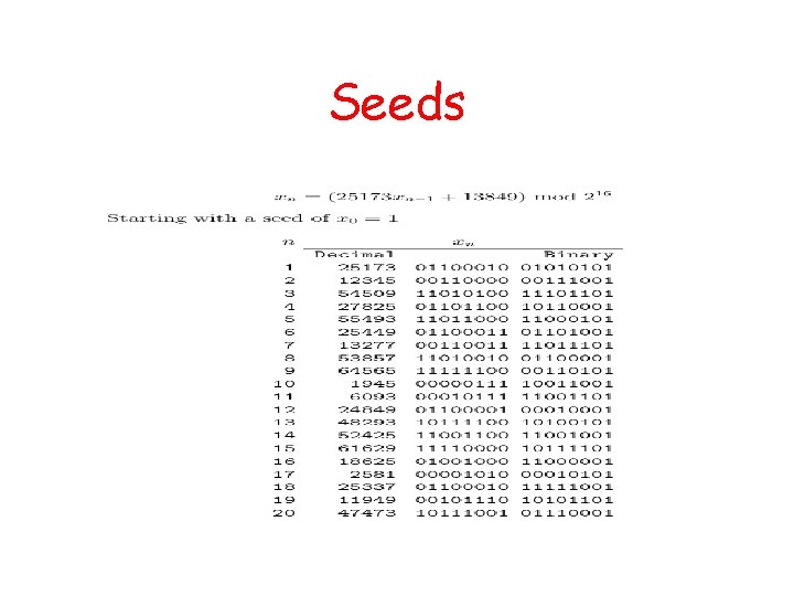 Seeds 