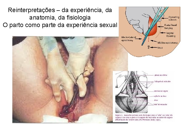 Reinterpretações – da experiência, da anatomia, da fisiologia O parto como parte da experiência
