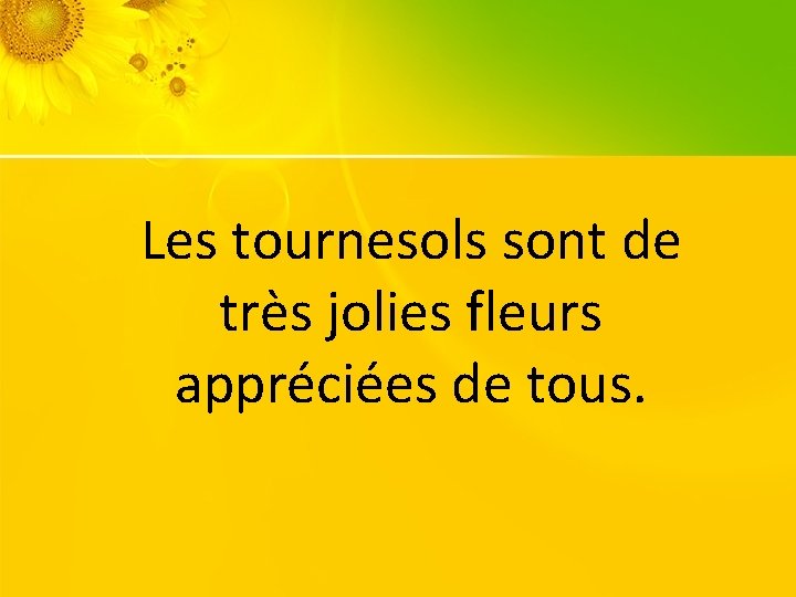 Les tournesols sont de très jolies fleurs appréciées de tous. 