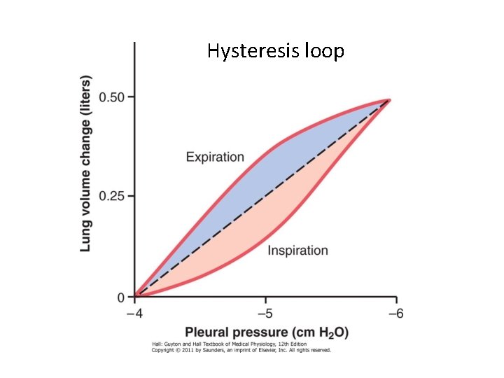 Hysteresis loop 