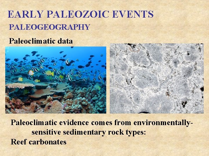EARLY PALEOZOIC EVENTS PALEOGEOGRAPHY Paleoclimatic data Paleoclimatic evidence comes from environmentallysensitive sedimentary rock types: