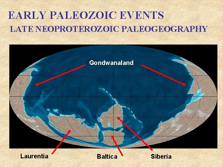 EARLY PALEOZOIC EVENTS LATE NEOPROTEROZOIC PALEOGEOGRAPHY Gondwanaland Laurentia Baltica Siberia 