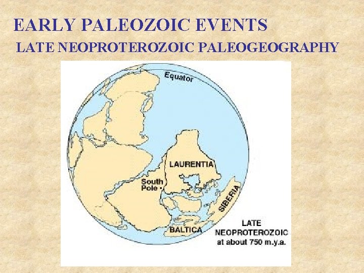 EARLY PALEOZOIC EVENTS LATE NEOPROTEROZOIC PALEOGEOGRAPHY 