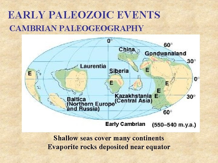 EARLY PALEOZOIC EVENTS CAMBRIAN PALEOGEOGRAPHY Early Cambrian Shallow seas cover many continents Evaporite rocks