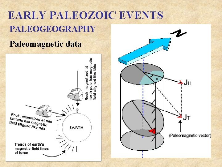 EARLY PALEOZOIC EVENTS PALEOGEOGRAPHY Paleomagnetic data 
