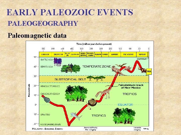 EARLY PALEOZOIC EVENTS PALEOGEOGRAPHY Paleomagnetic data 