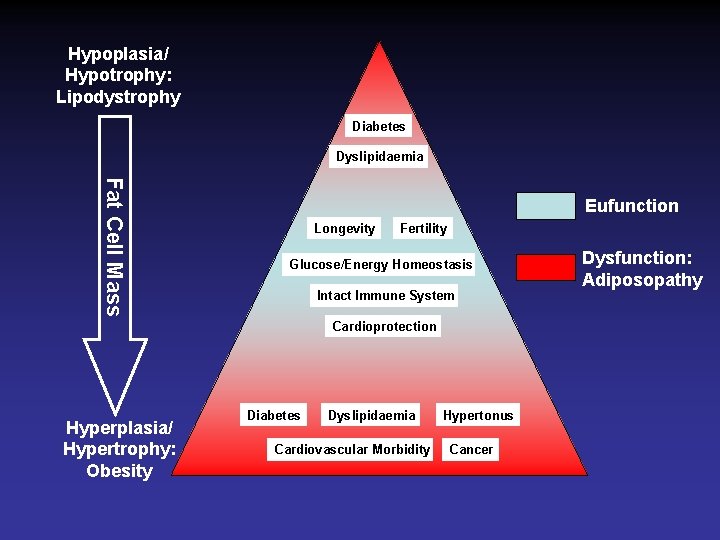 Hypoplasia/ Hypotrophy: Lipodystrophy Diabetes Dyslipidaemia Fat Cell Mass Eufunction Longevity Fertility Glucose/Energy Homeostasis Intact