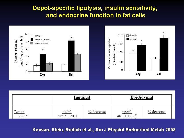 Depot-specific lipolysis, insulin sensitivity, and endocrine function in fat cells Kovsan, Klein, Rudich et