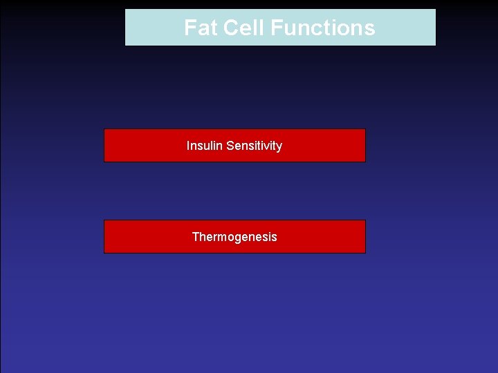 Fat Cell Functions Insulin Sensitivity Thermogenesis 