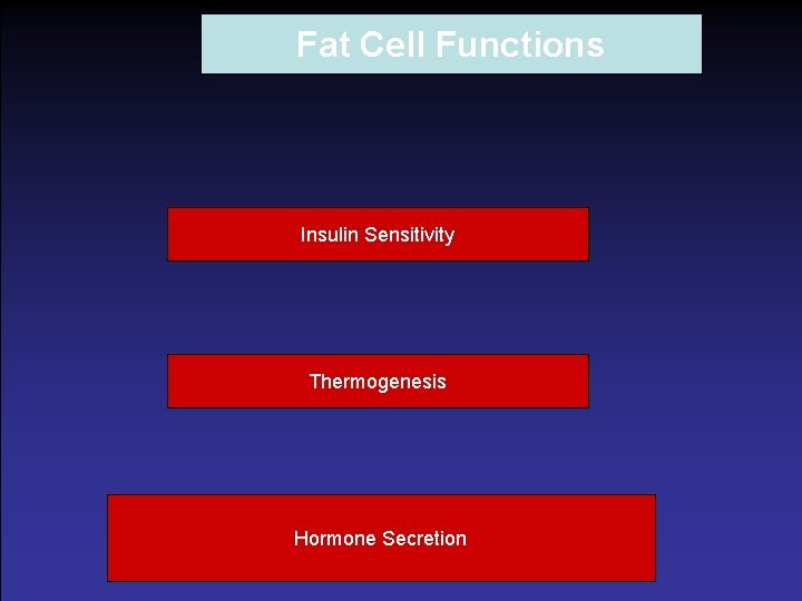 Fat Cell Functions Insulin Sensitivity Thermogenesis Hormone Secretion 