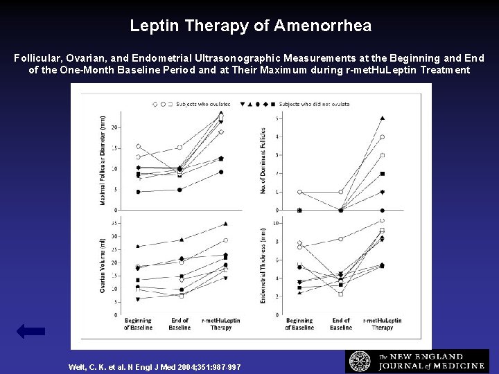 Leptin Therapy of Amenorrhea Follicular, Ovarian, and Endometrial Ultrasonographic Measurements at the Beginning and