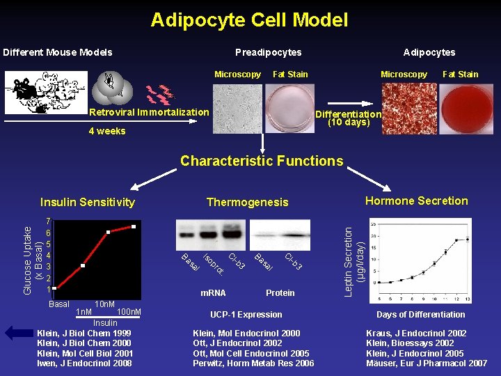 Adipocyte Cell Model Preadipocytes Different Mouse Models Microscopy Adipocytes Fat Stain Retroviral Immortalization Microscopy