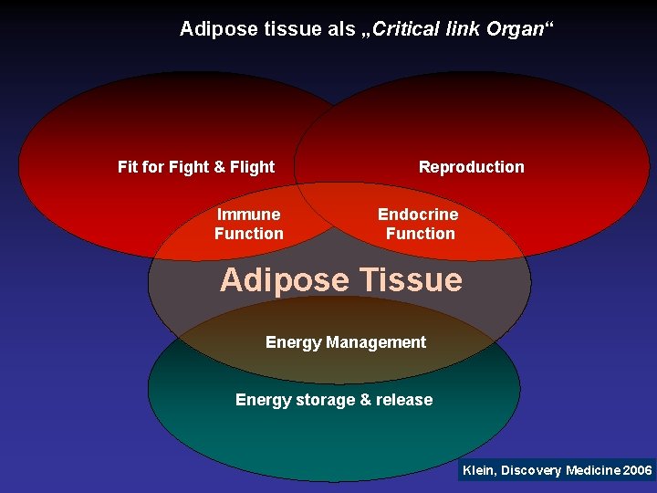 Adipose tissue als „Critical link Organ“ Fit for Fight & Flight Immune Function Reproduction