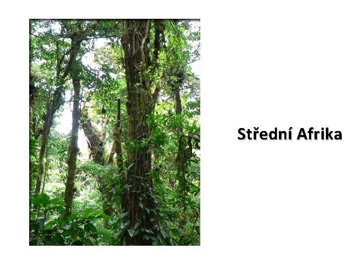 Střední Afrika Střední Afrika