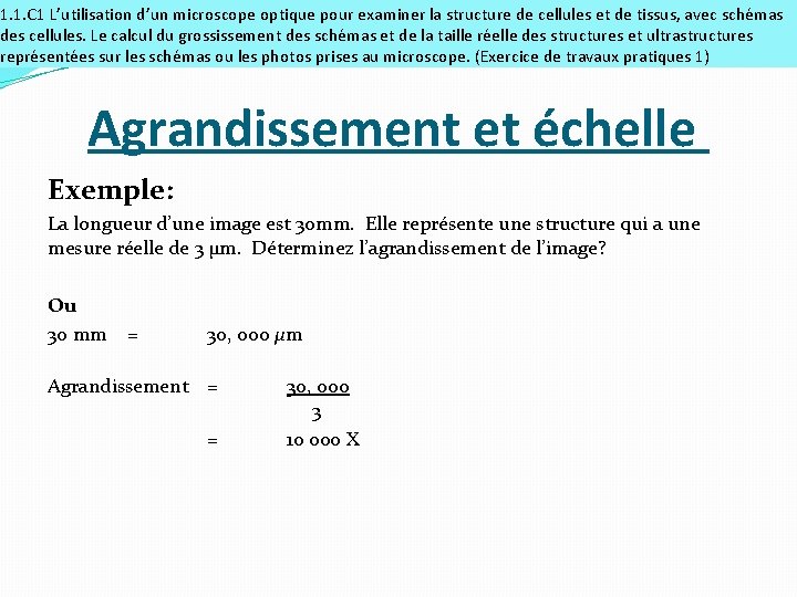 1. 1. C 1 L’utilisation d’un microscope optique pour examiner la structure de cellules