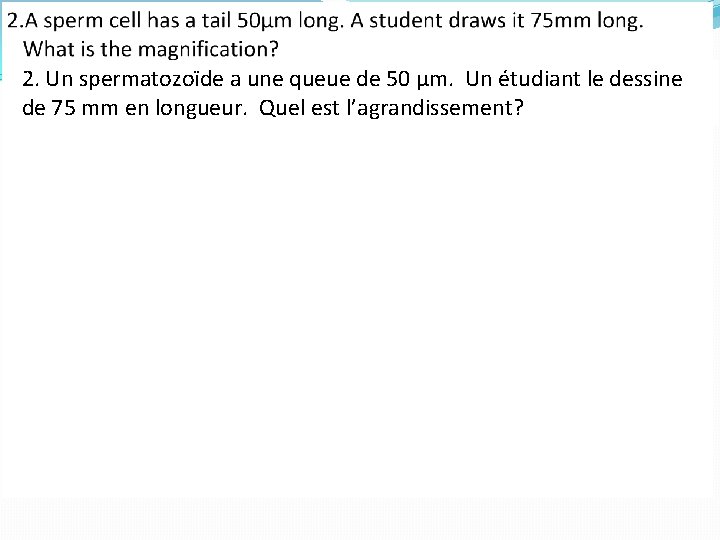 2. Un spermatozoïde a une queue de 50 µm. Un étudiant le dessine de