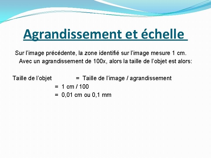 Agrandissement et échelle Sur l’image précédente, la zone identifié sur l’image mesure 1 cm.