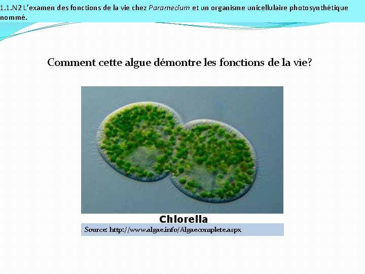 1. 1. N 2 L’examen des fonctions de la vie chez Paramecium et un