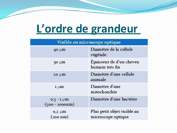 L’ordre de grandeur Visible au microscope optique 40 m Diamètre de la cellule végétale