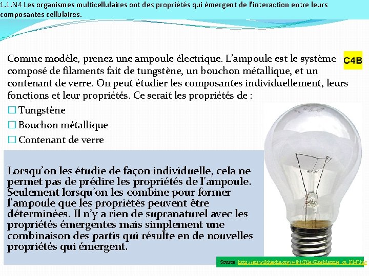 1. 1. N 4 Les organismes multicellulaires ont des propriétés qui émergent de l’interaction