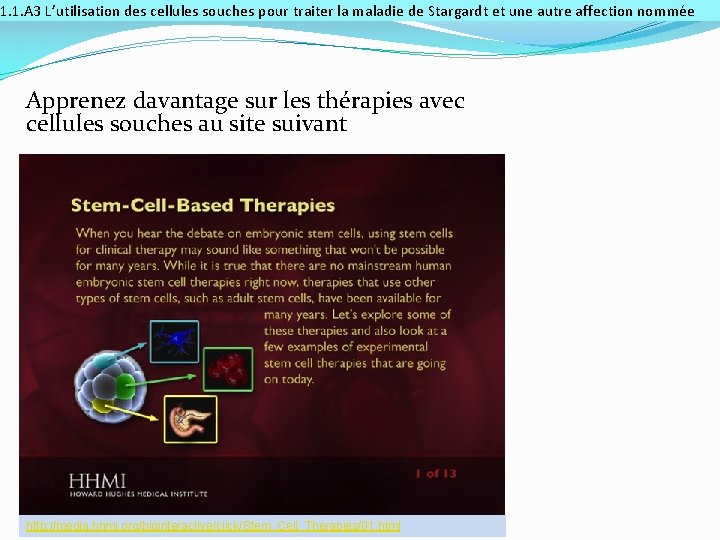 1. 1. A 3 L’utilisation des cellules souches pour traiter la maladie de Stargardt