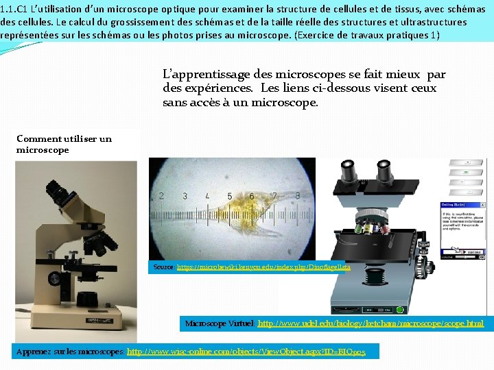 1. 1. C 1 L’utilisation d’un microscope optique pour examiner la structure de cellules
