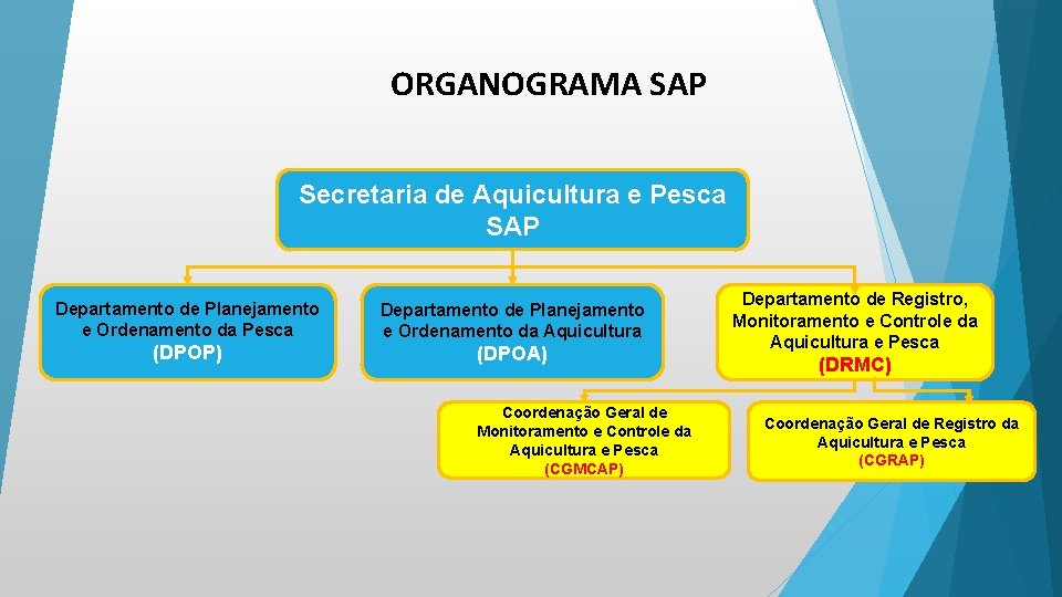 ORGANOGRAMA SAP Secretaria de Aquicultura e Pesca SAP Departamento de Planejamento e Ordenamento da