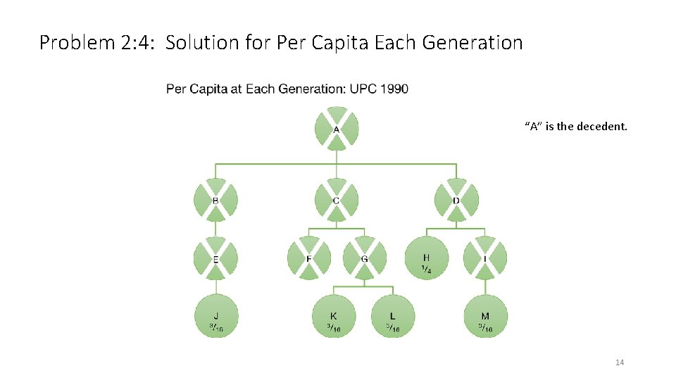 Problem 2: 4: Solution for Per Capita Each Generation “A” is the decedent. 14