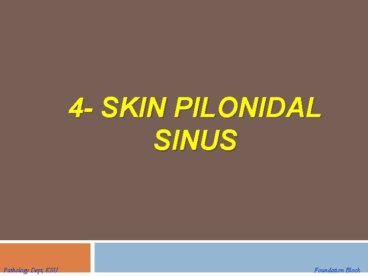4 - SKIN PILONIDAL SINUS Pathology Dept, KSU Foundation Block 