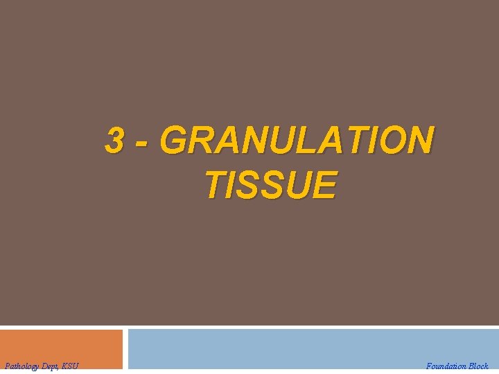 3 - GRANULATION TISSUE Pathology Dept, KSU Foundation Block 