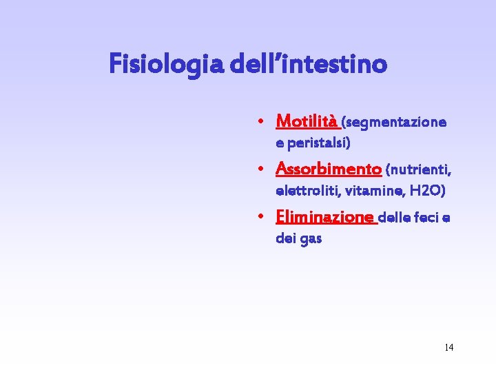 Fisiologia dell’intestino • Motilità (segmentazione e peristalsi) • Assorbimento (nutrienti, elettroliti, vitamine, H 2