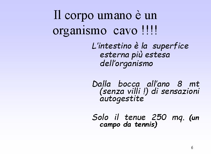 Il corpo umano è un organismo cavo !!!! L’intestino è la superfice esterna più Il corpo umano è un organismo cavo !!!! L’intestino è la superfice esterna più