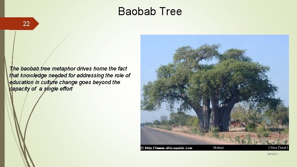Baobab Tree 22 The baobab tree metaphor drives home the fact that knowledge needed