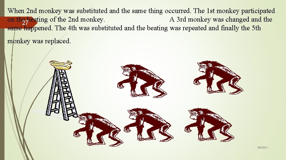 When 2 nd monkey was substituted and the same thing occurred. The 1 st