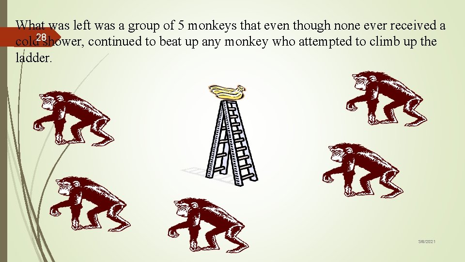 What was left was a group of 5 monkeys that even though none ever