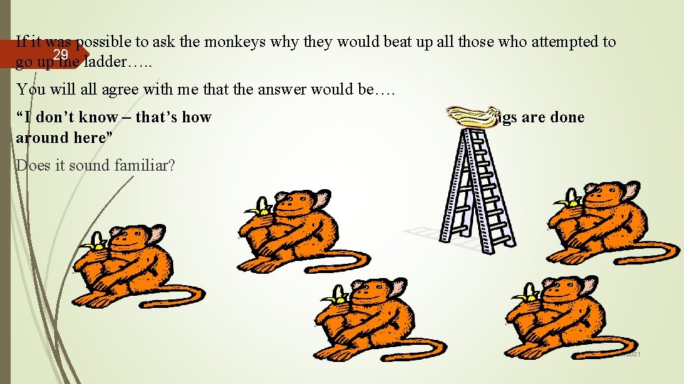 If it was possible to ask the monkeys why they would beat up all