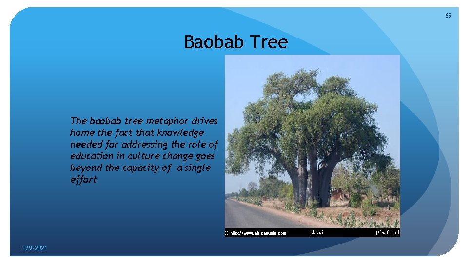 69 Baobab Tree The baobab tree metaphor drives home the fact that knowledge needed