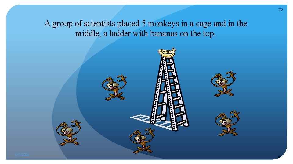 70 A group of scientists placed 5 monkeys in a cage and in the