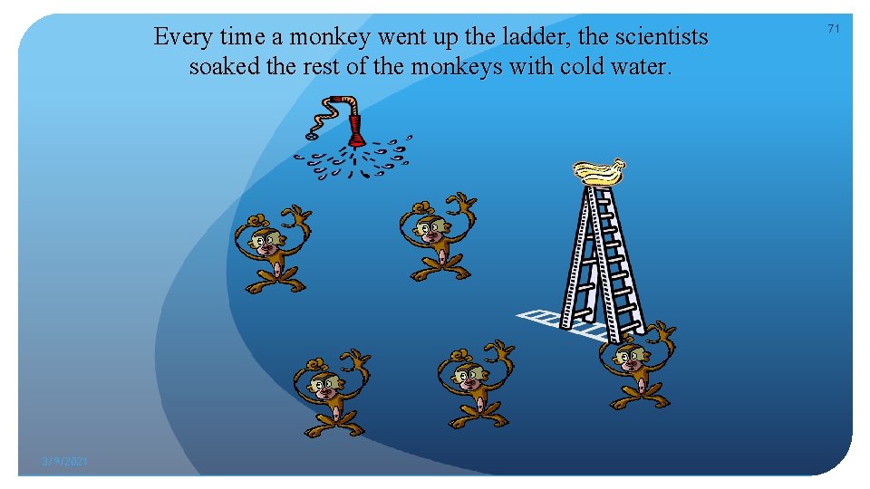 Every time a monkey went up the ladder, the scientists soaked the rest of